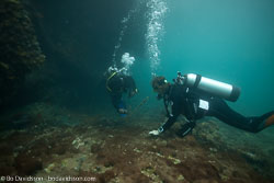 BD-111125-Raja-Ampat-5272-Homo-sapiens.-Linnaeus.-1758-[Diver].jpg